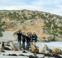 Small-Group Kangaroo Island 4WD Tour from Adelaide - Accommodation Georgetown