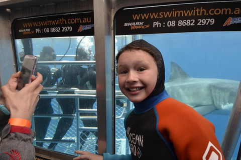 White Shark Tour With Optional Cage Dive From Port Lincoln - Accommodation Georgetown 8