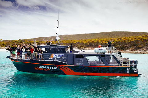 White Shark Tour With Optional Cage Dive From Port Lincoln - Accommodation Georgetown 7