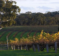 Barossa Valley with Hahndorf Tour from Adelaide - Accommodation Georgetown