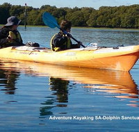 Adelaide Dolphin Sanctuary and Ships Graveyard Kayak Tour - Accommodation Georgetown