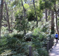 Self-Guided Waterfall Gully to Mount Lofty Hike from Adelaide - Accommodation Georgetown