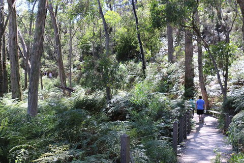 Self-Guided Waterfall Gully To Mount Lofty Hike From Adelaide - Accommodation Georgetown 0