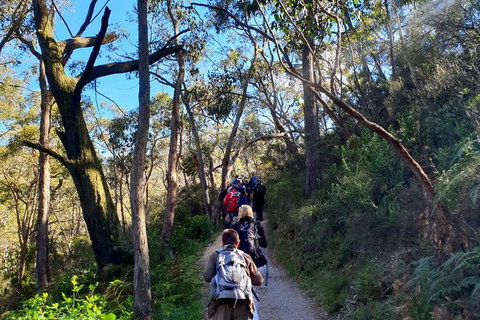 Self-Guided Waterfall Gully To Mount Lofty Hike From Adelaide - Accommodation Georgetown 7