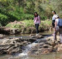 Small Group Bush Walk  BBQ with Wine Day Trip from Adelaide - Accommodation Georgetown