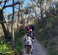 Mount Lofty Hike and Cleland Wildlife Park Day Trip from Adelaide - Accommodation Georgetown