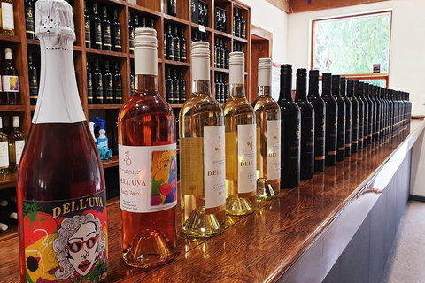 Barossa Valley Highlights From Adelaide Including Wine And Cheese Tasting - Accommodation Georgetown 10