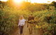 Barossa Valley Highlights From Adelaide Including Wine And Cheese Tasting - thumb 11