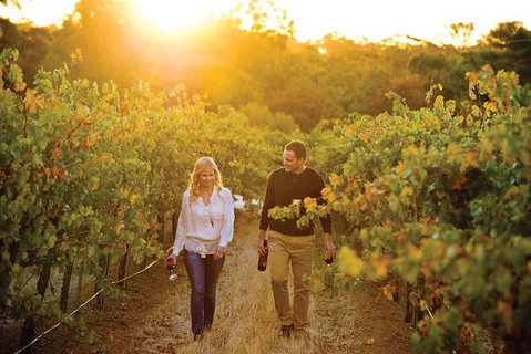 Barossa Valley Highlights From Adelaide Including Wine And Cheese Tasting - Accommodation Georgetown 11