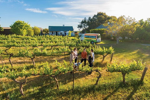 Barossa Valley Highlights From Adelaide Including Wine And Cheese Tasting - Accommodation Georgetown 14