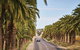 Barossa Valley Highlights From Adelaide Including Wine And Cheese Tasting - thumb 3
