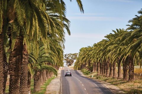 Barossa Valley Highlights From Adelaide Including Wine And Cheese Tasting - Accommodation Georgetown 3