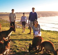 5-Day Adelaide and Kangaroo Island Tour Including Barossa Valley Wine Tasting - Accommodation Georgetown