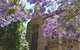 Cultural Caper Adelaide Walking Tour - thumb 7