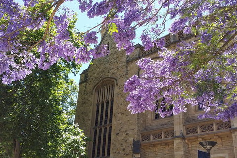 Cultural Caper Adelaide Walking Tour - Accommodation Georgetown 7