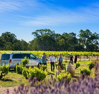 Micro-Group Barossa Valley Wine Tour from Adelaide - Accommodation Georgetown