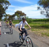 McLaren Vale Wine Tour by Bike - Accommodation Georgetown