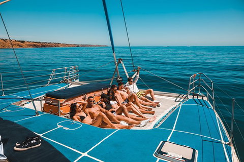 Dolphin Cruise From Adelaide With Optional Dolphin Swim - Accommodation Georgetown 3