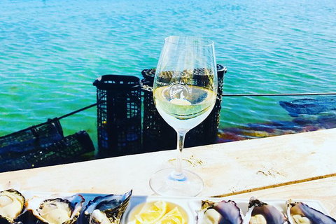 Coffin Bay Oyster Farm & Tasting Tour - Accommodation Georgetown 11