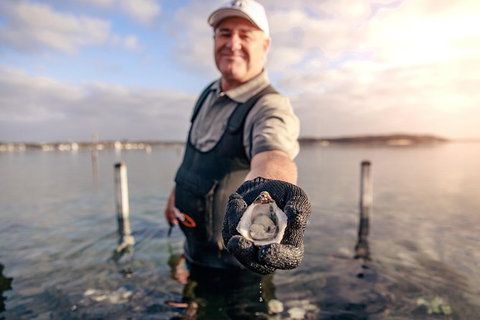 Coffin Bay Oyster Farm & Tasting Tour - Accommodation Georgetown 3
