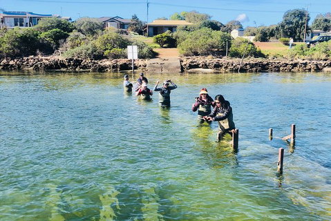 Coffin Bay Oyster Farm & Tasting Tour - Accommodation Georgetown 6