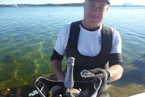 Coffin Bay Oyster Farm & Tasting Tour - Accommodation Georgetown 2