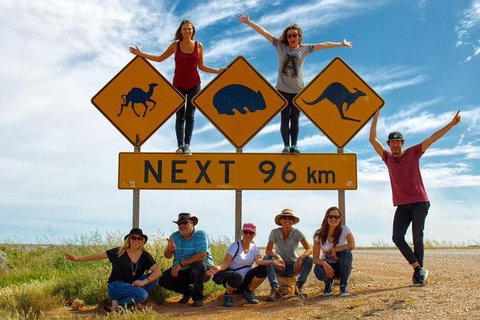10-Day Adelaide To Perth Adventure Tour - Accommodation Georgetown 1