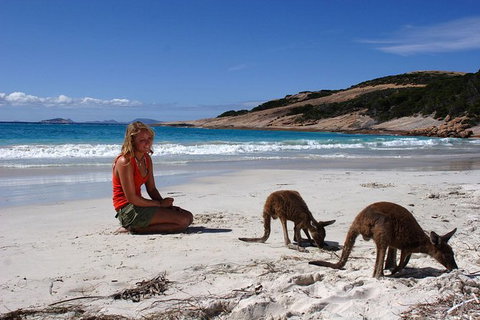 10-Day Adelaide To Perth Adventure Tour - Accommodation Georgetown 0