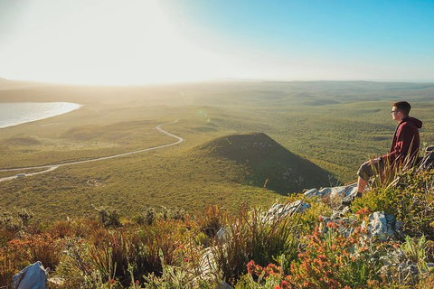 10-Day Adelaide To Perth Adventure Tour - Accommodation Georgetown 8