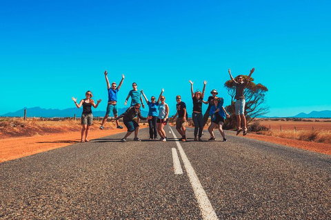 10-Day Adelaide To Perth Adventure Tour - Accommodation Georgetown 3