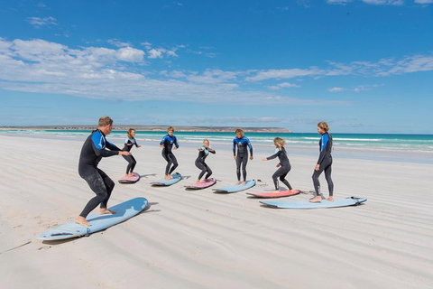 10-Day Adelaide To Perth Adventure Tour - Accommodation Georgetown 9