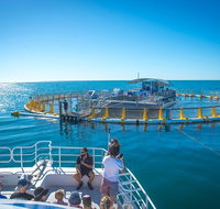 2 Hour Aquarium Tour - Accommodation Georgetown