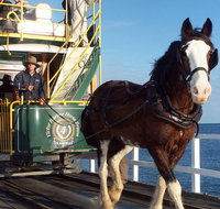 Full-Day Tour in South Australia Highlights - Accommodation Georgetown