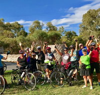 McLaren Vale Shiraz Trail Cycling Tour from Adelaide - Accommodation Georgetown