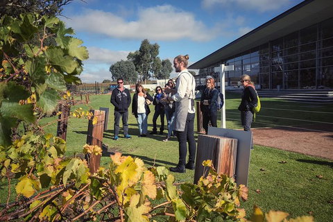 Barossa Valley Day Trip From Adelaide - Accommodation Georgetown 0