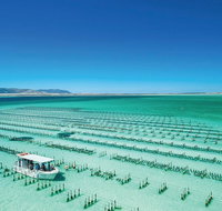 Coffin Bay Private Day Tour from Port Lincoln - A Taste of Coffin Bay - Accommodation Georgetown