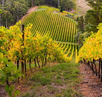 Private Adelaide Hills Wine Region Tour - Accommodation Georgetown