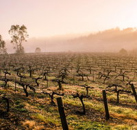 Barossa Valley Private Tour It's your tour the way you want it. - Accommodation Georgetown