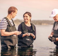 3-Day Port Lincoln and Coffin Bay Private Tour from Adelaide - Accommodation Georgetown