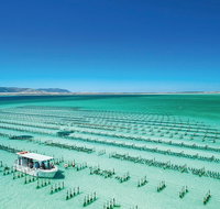 Coffin Bay Day Tour - A Taste of Coffin Bay - Accommodation Georgetown