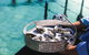 Coffin Bay Day Tour - A Taste Of Coffin Bay - thumb 8