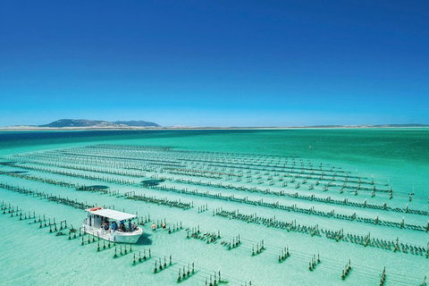 Coffin Bay Day Tour - A Taste Of Coffin Bay - Accommodation Georgetown 2