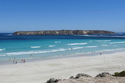 Coffin Bay Day Tour - A Taste Of Coffin Bay - Accommodation Georgetown 12