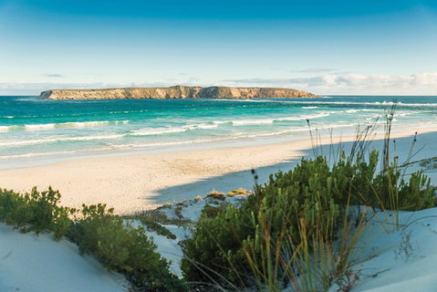 Coffin Bay Day Tour - A Taste Of Coffin Bay - Accommodation Georgetown 13