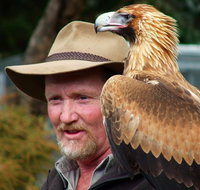 Kangaroo Island Wildlife Day Trip from Adelaide Including Seal Bay - Accommodation Georgetown