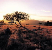 Adelaide To Coober Pedy 7 DAY SMALL GROUP 4WD SAFARI - Accommodation Georgetown