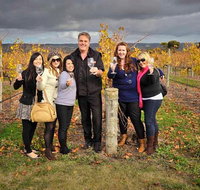McLaren Vale Winery Small Group Tour with Wine Tasting and Lunch - Accommodation Georgetown