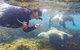 Half-Day Sea Lion Snorkeling Tour From Port Lincoln - thumb 8