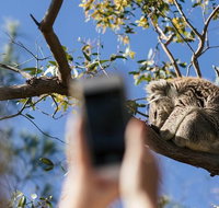 Exceptional Port Lincoln Seafood and Wildlife Tour - Accommodation Georgetown
