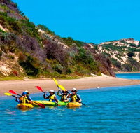 Half-Day Kayaking Tour in Coorong National Park - Accommodation Georgetown